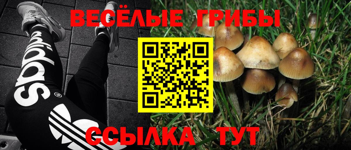 Галлюциногенные грибы прущие грибы Мытищи
